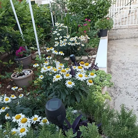 Jasna's Old Town Apartman